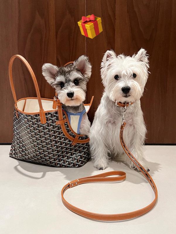 Fashionupstore - GYD-Bags - 1744 - sneakerhillcom
