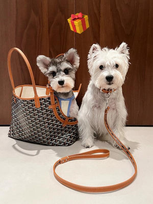 Fashionupstore - GYD-Bags - 1744 - sneakerhillcom