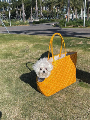 Fashionupstore - GYD-Bags - 1749 - sneakerhillcom