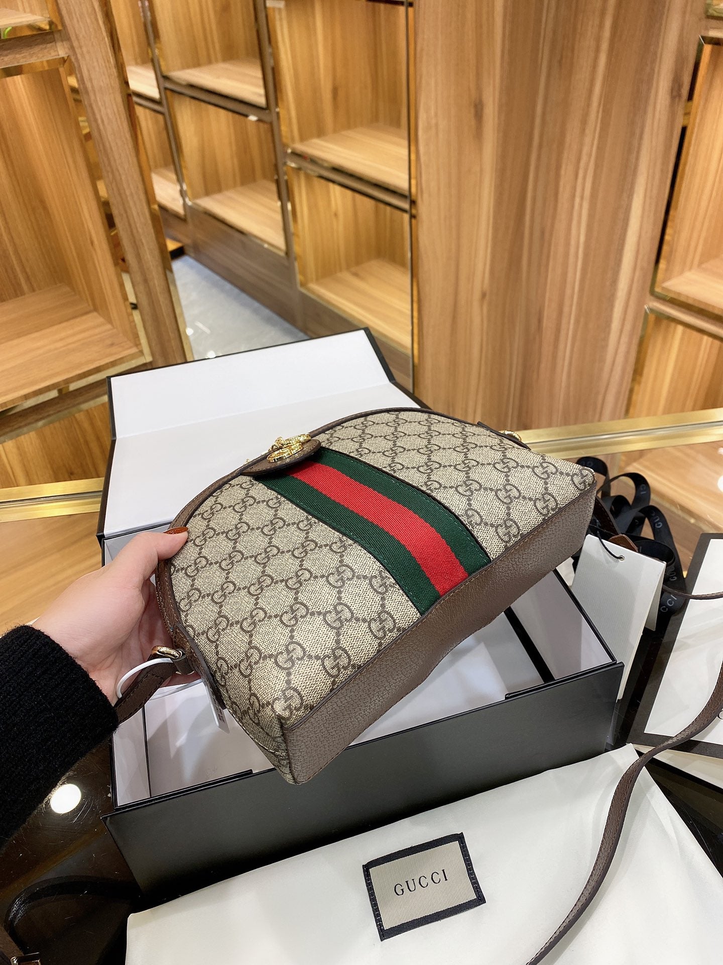 Sneakerhill - Luxury Edition Bags GCI 267