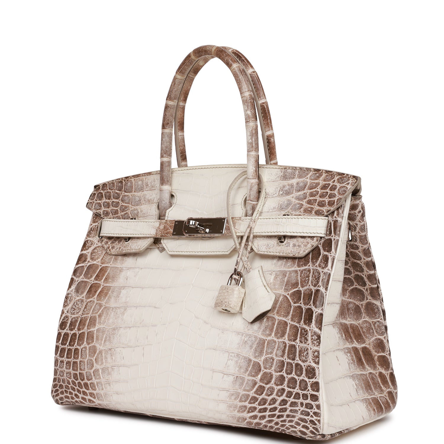 Birkin 30 Himalaya Niloticus Crocodile Palladium Hardware Kilta bags