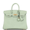 Birkin 25 Vert D'Eau Matte Alligator Gold Hardware - sneakerlandnet