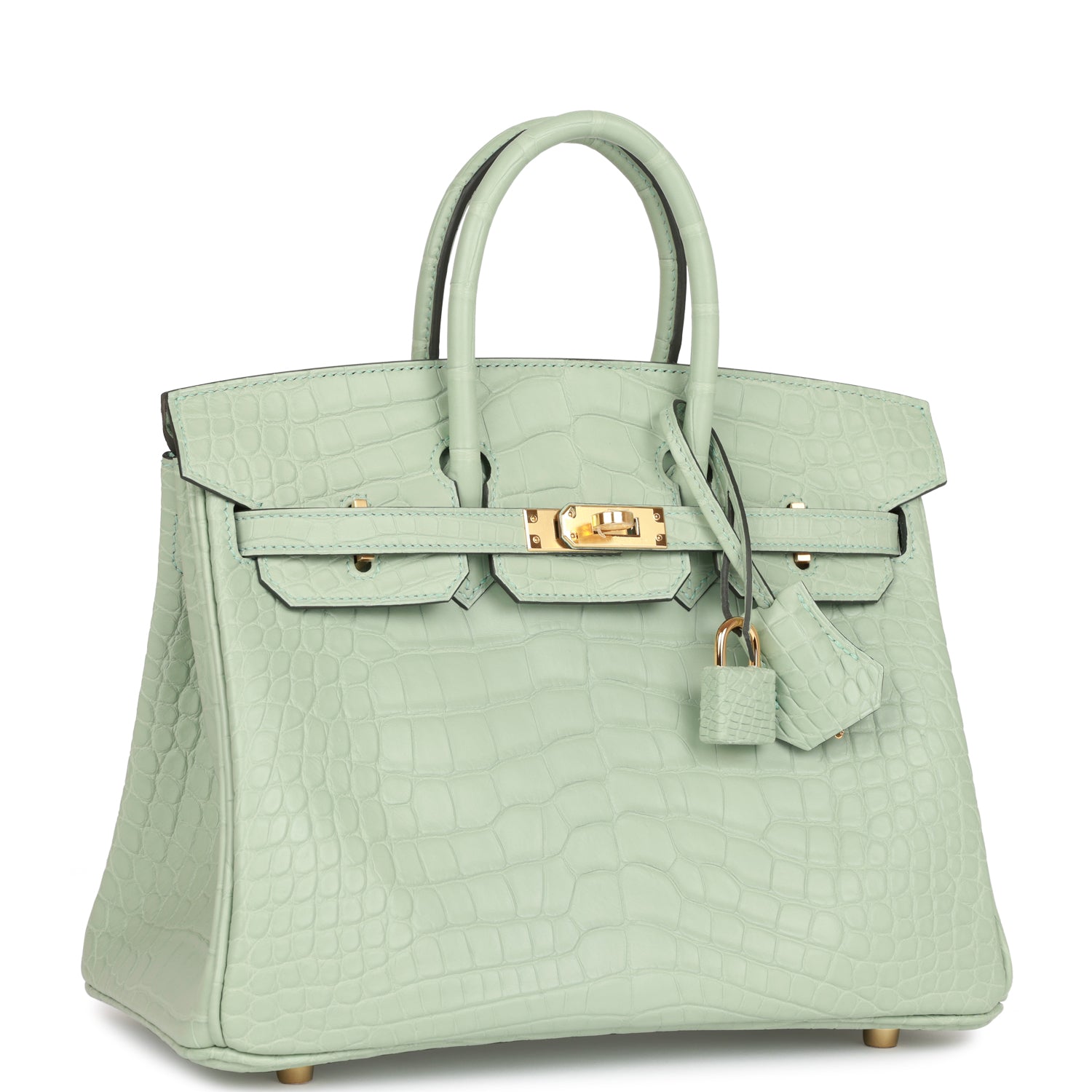 Birkin 25 Vert D'Eau Matte Alligator Gold Hardware - sneakerlandnet