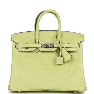 Birkin 25 Jaune Bourgeon Matte Alligator Palladium Hardware - sneakerlandnet