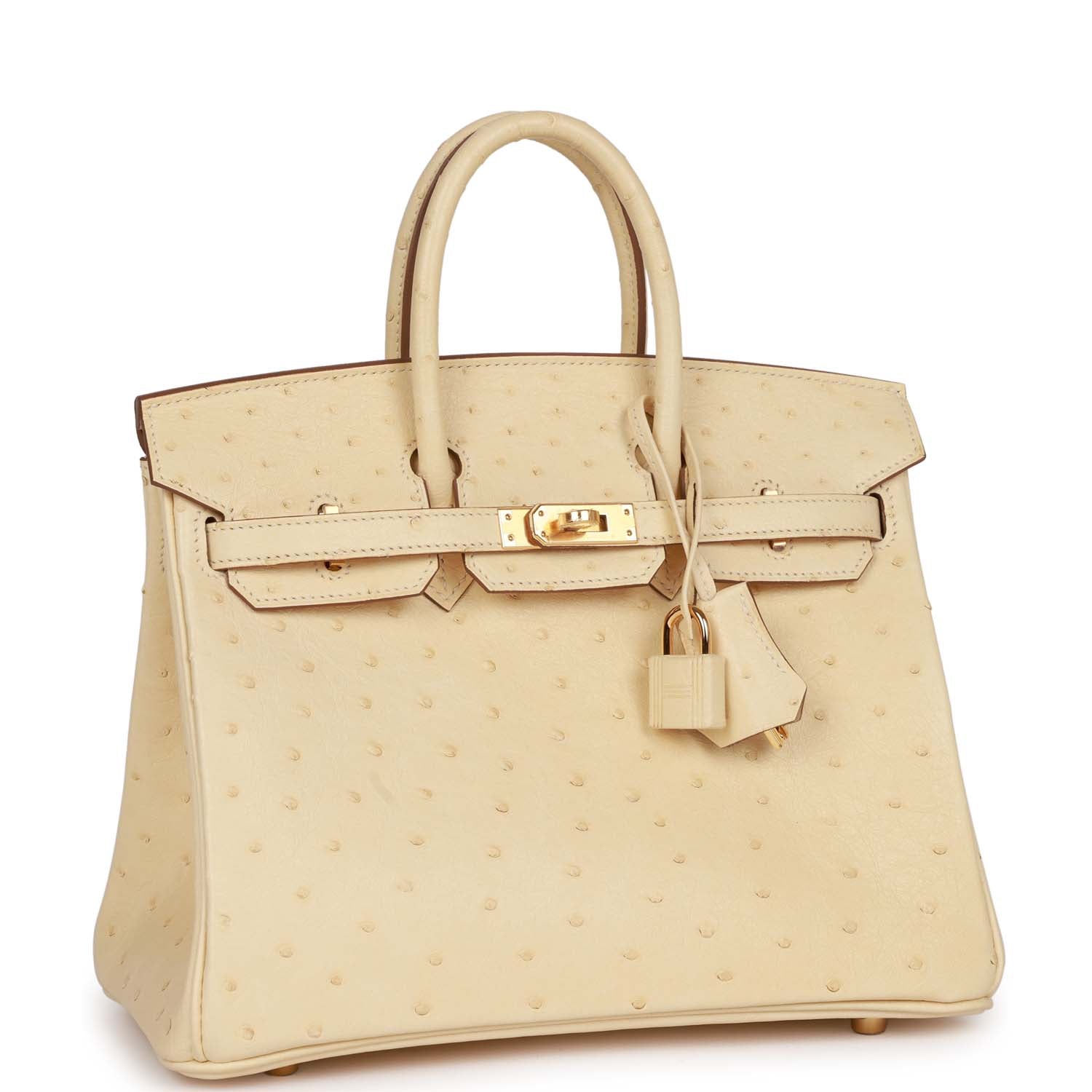 Birkin 25 Vanille Ostrich Boreal Gold Hardware Kilta bags