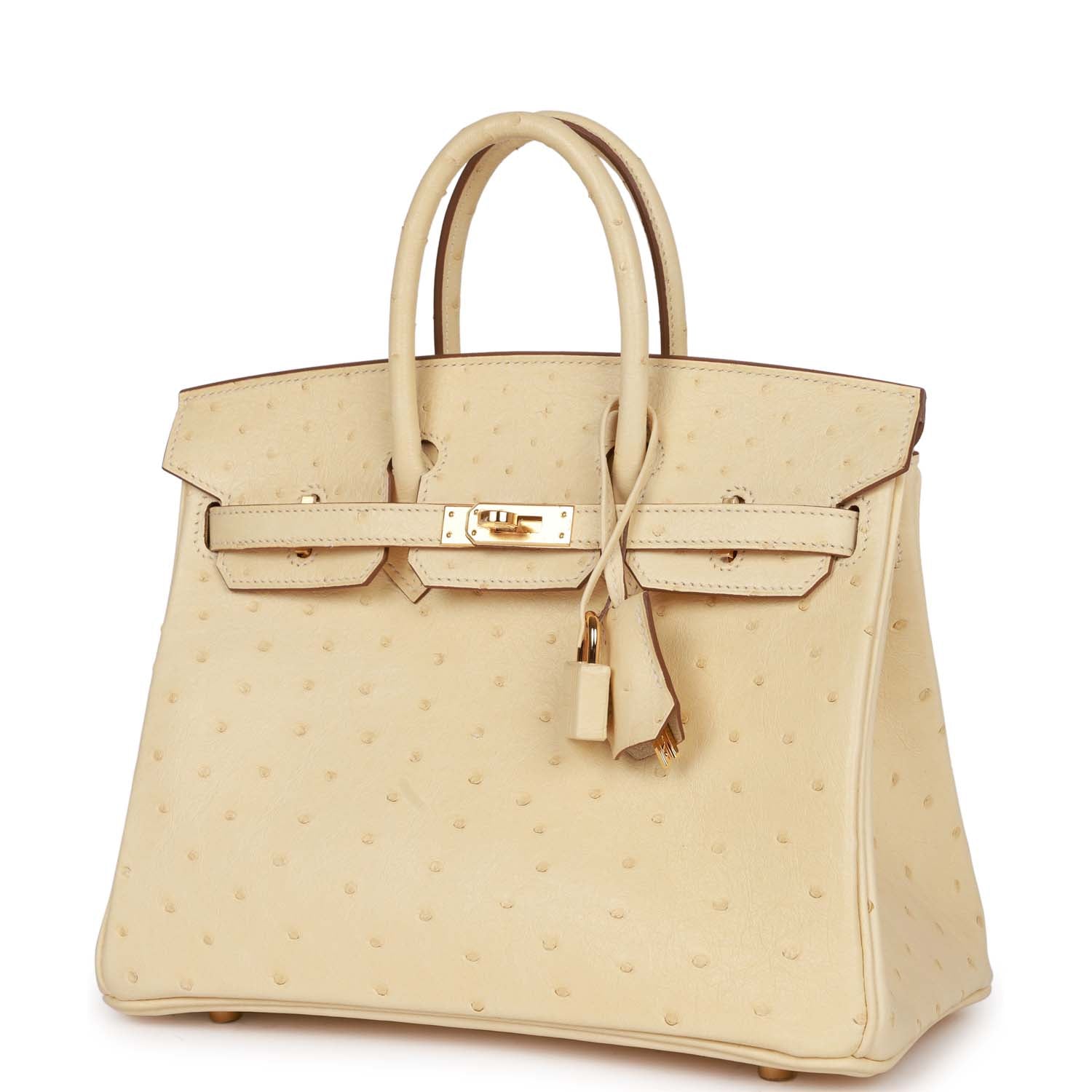 Birkin 25 Vanille Ostrich Boreal Gold Hardware Kilta bags