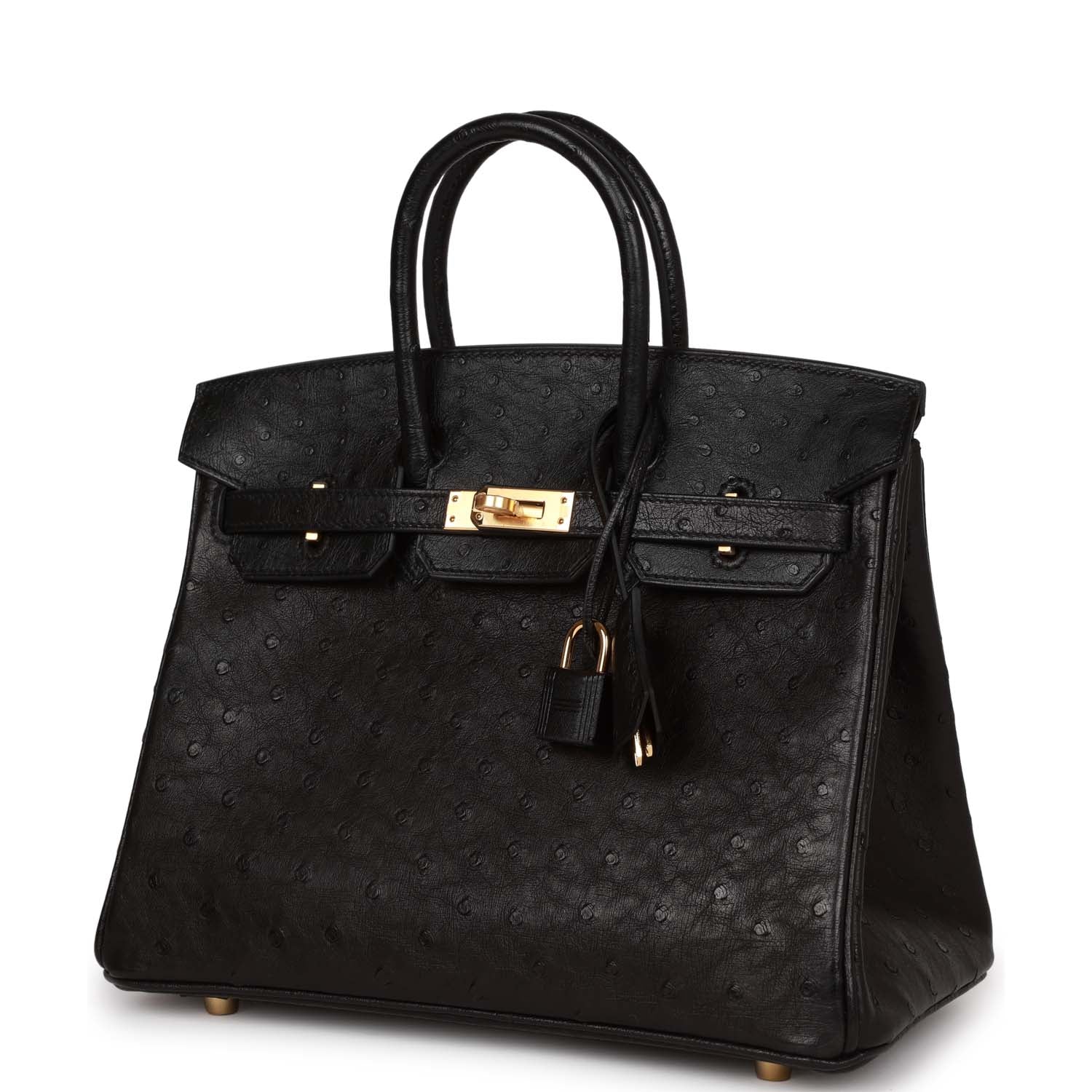 Birkin 25 Black Ostrich Gold Hardware Kilta bags