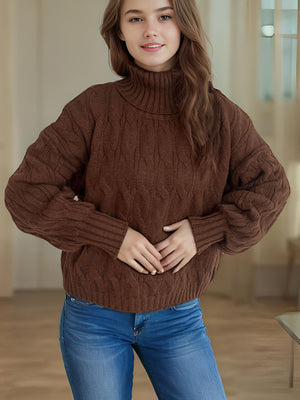 Cable-Knit Turtleneck Long Sleeve Sweater Trendsi