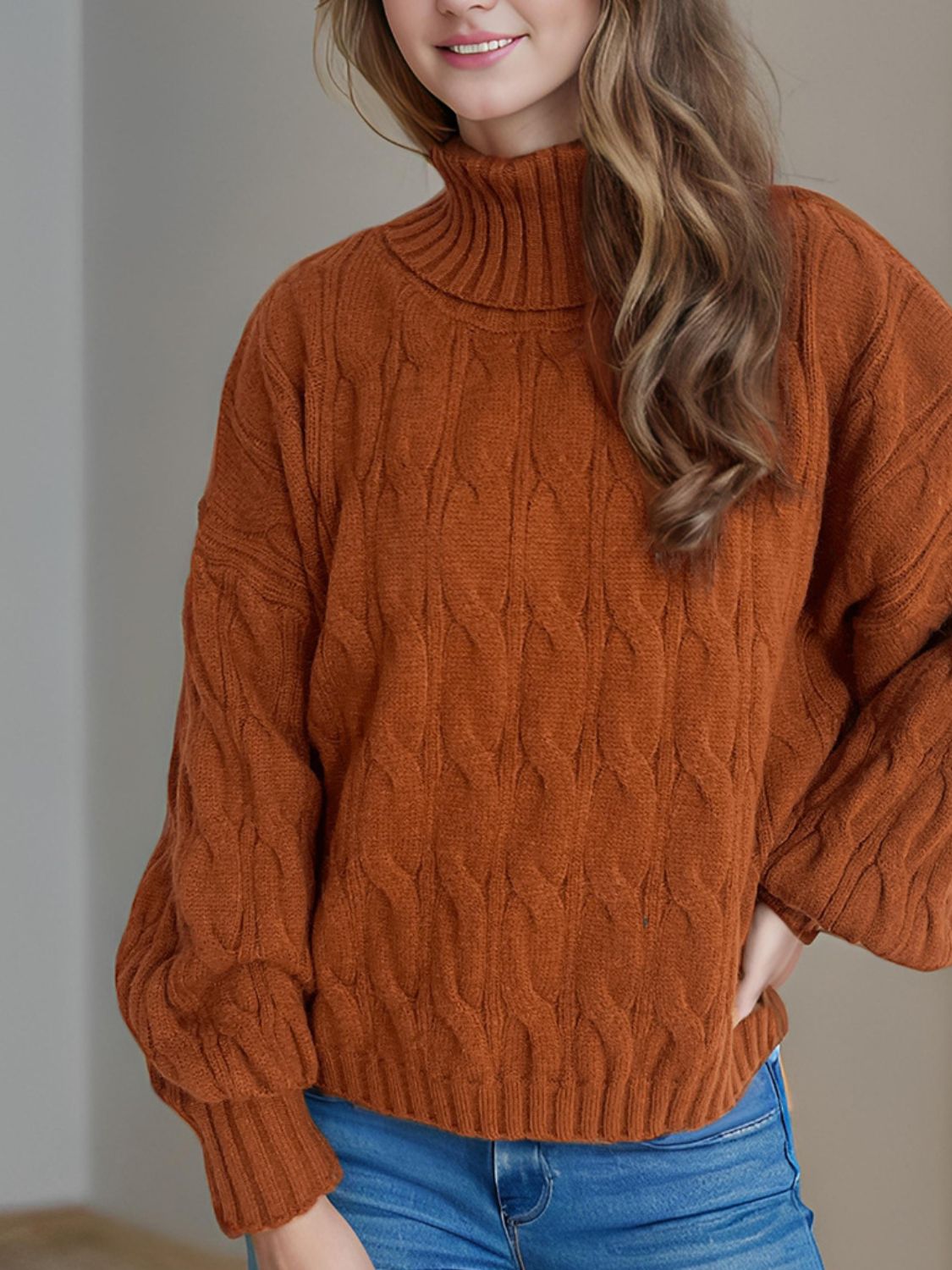 Cable-Knit Turtleneck Long Sleeve Sweater Trendsi