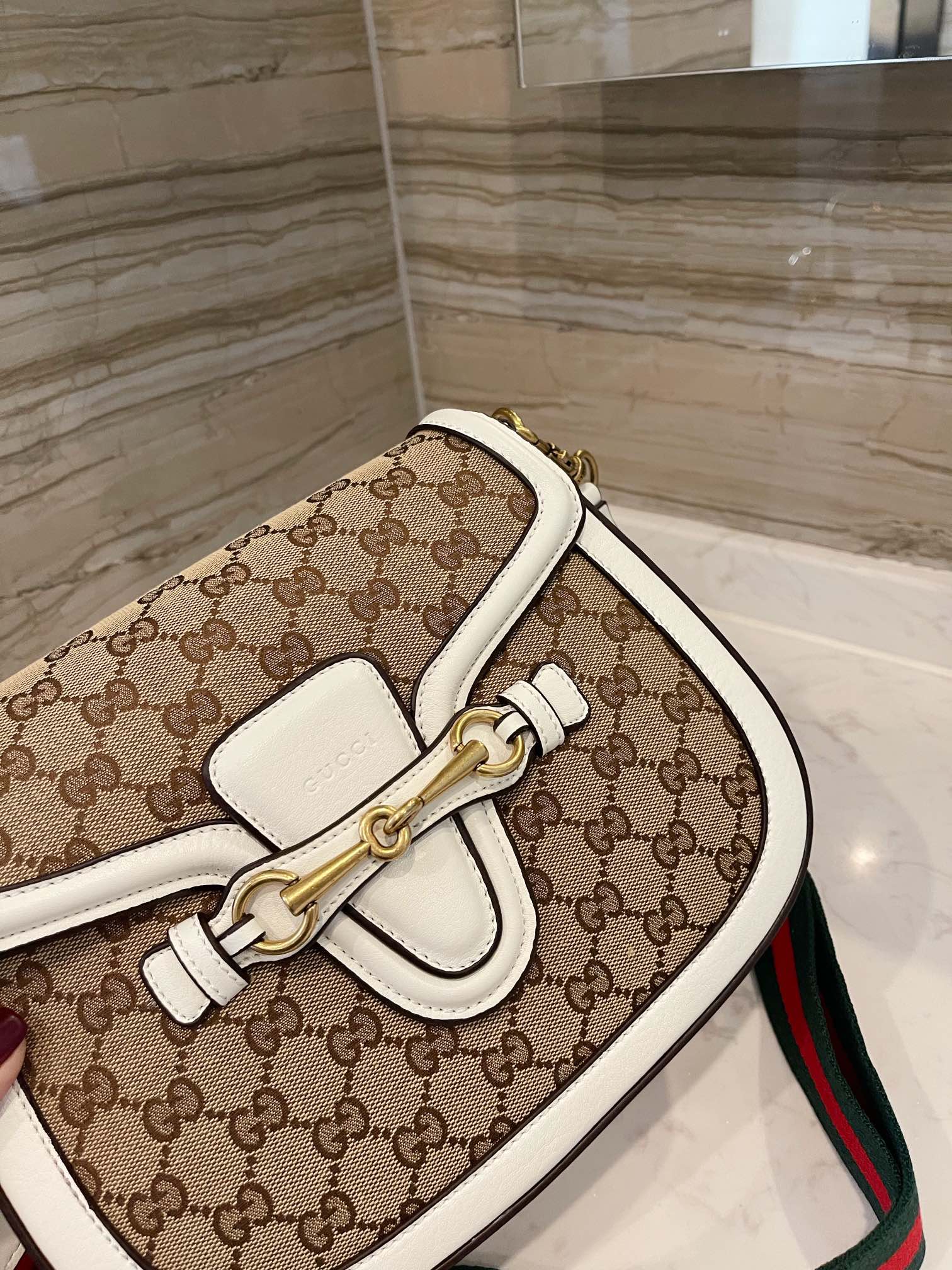 Sneakerhill - Luxury Edition Bags GCI 193